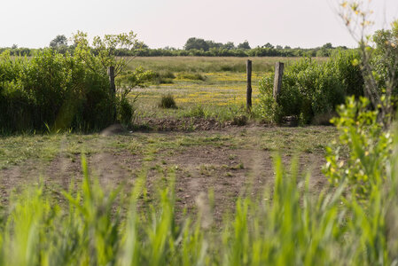 Le Teich 9 juin 2025, _K1_S3_7018