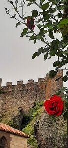 2025-06-07 SEJOUR LOZERE, 20250602_172613