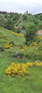 2025-06-07 SEJOUR LOZERE, 20250605_110237