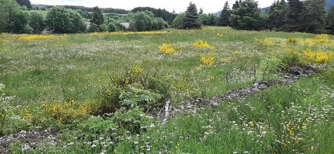 2025-06-07 SEJOUR LOZERE, 20250605_122800