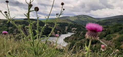 2025-06-07 SEJOUR LOZERE, 20250605_130233
