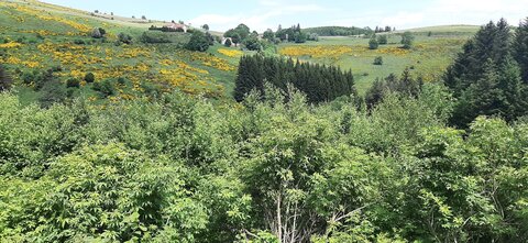 2025-06-07 SEJOUR LOZERE, 20250606_121001