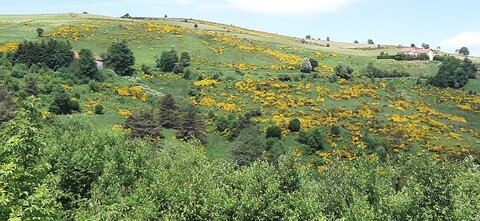 2025-06-07 SEJOUR LOZERE, 20250606_121009