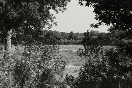 Le Teich 9 juin 2025, _K1_S3_7144