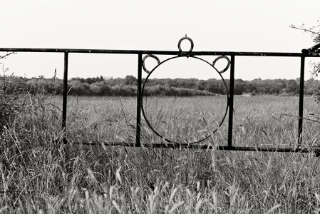 Le Teich 9 juin 2025, _K1_S3_7145