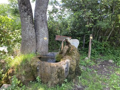 Turriers - Très Pébès, IMG_2241