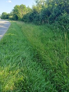 Voie verte Grisière, 20250616_182445