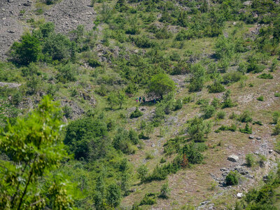 18-21-06-25 CDSA valgo, P1098342