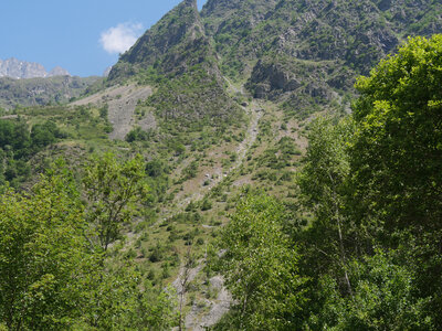 18-21-06-25 CDSA valgo, P1098343