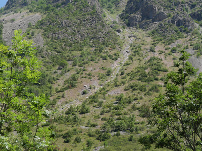 18-21-06-25 CDSA valgo, P1098345