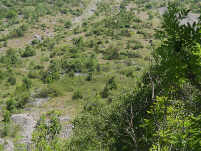 18-21-06-25 CDSA valgo, P1098348