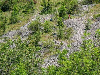 18-21-06-25 CDSA valgo, P1098349