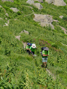 18-21-06-25 CDSA valgo, P1098477