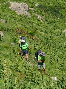 18-21-06-25 CDSA valgo, P1098478