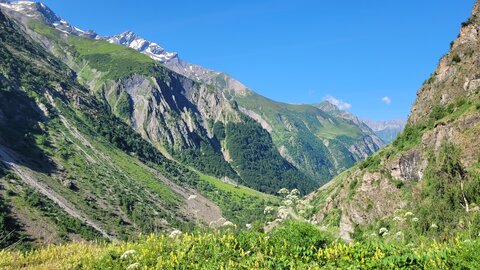 18-21-06-25 CDSA valgo, 20250619_093803