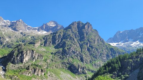 18-21-06-25 CDSA valgo, 20250619_100646