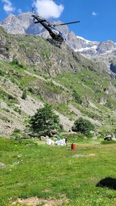 18-21-06-25 CDSA valgo, 20250619_100713