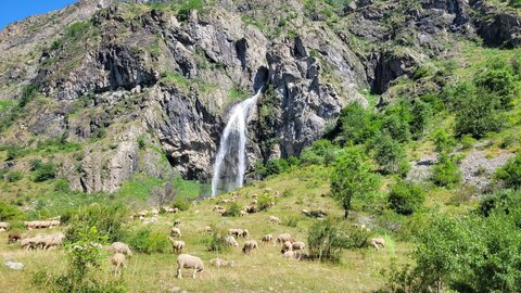 18-21-06-25 CDSA valgo, 20250619_103034