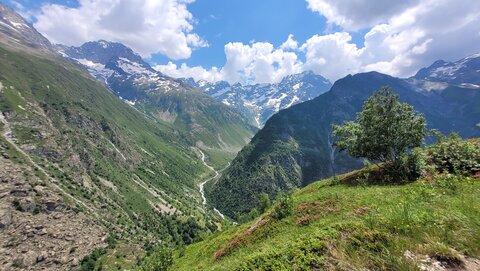 18-21-06-25 CDSA valgo, 20250619_134740