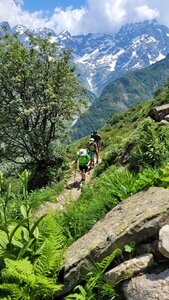 18-21-06-25 CDSA valgo, 20250619_140434