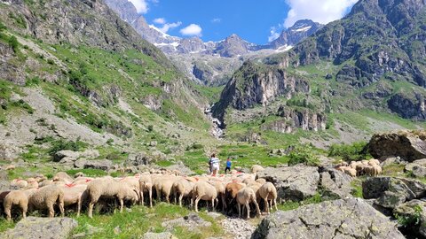 18-21-06-25 CDSA valgo, 20250620_104828