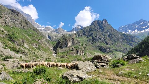 18-21-06-25 CDSA valgo, 20250620_104950