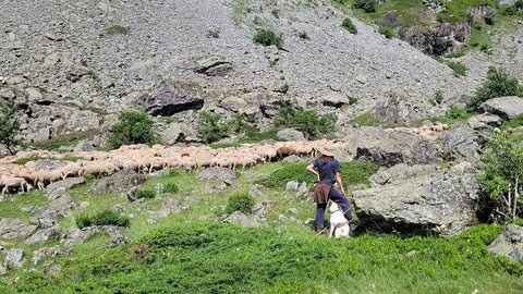 18-21-06-25 CDSA valgo, 20250620_105551