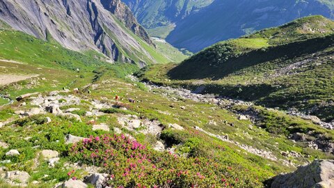 18-21-06-25 CDSA valgo, 20250622_092819