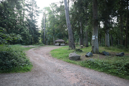 2025 06 24a L'Ormont, IMG_9755 Le Paradis