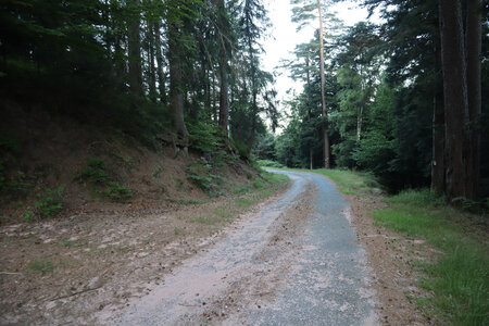 2025 06 24a L'Ormont, IMG_9760 Le carrefour de Bellevue