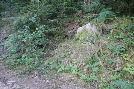 2025 06 24a L'Ormont, IMG_9761 La montée vers la Roche des Fées