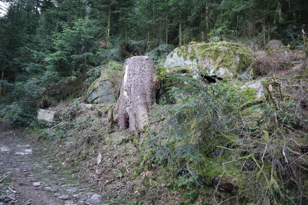 2025 06 24a L'Ormont, IMG_9762 La montée vers la Roche des Fées