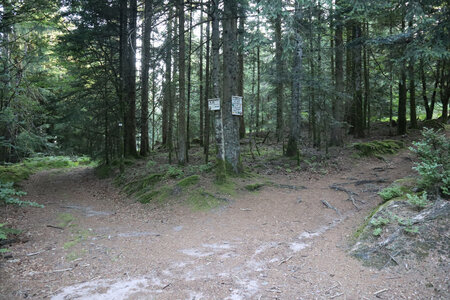 2025 06 24a L'Ormont, IMG_9782 Le col des Cailloux