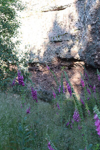 2025 06 24a L'Ormont, IMG_9799 La Roche des Cailloux
