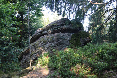 2025 06 24a L'Ormont, IMG_9800 Entre la Roche des Cailloux et la Roche des Oiseaux