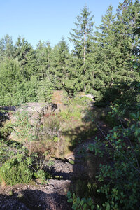 2025 06 24a L'Ormont, IMG_9807 Vue depuis la Roche du Hof