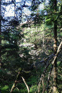 2025 06 24a L'Ormont, IMG_9811 La Roche du Hof