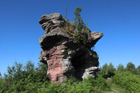 2025 06 24a L'Ormont, IMG_9816 La Roche du Sapin-Sec