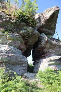 2025 06 24a L'Ormont, IMG_9817 La Roche du Sapin-Sec