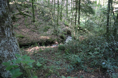 2025 06 24a L'Ormont, IMG_9824 Le Robache