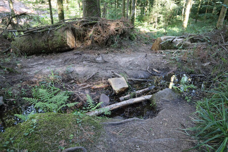 2025 06 24a L'Ormont, IMG_9826 Gué sur le Robache