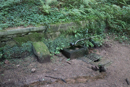 2025 06 24a L'Ormont, IMG_9832 La fontaine Fachot (probablement imbuvable)