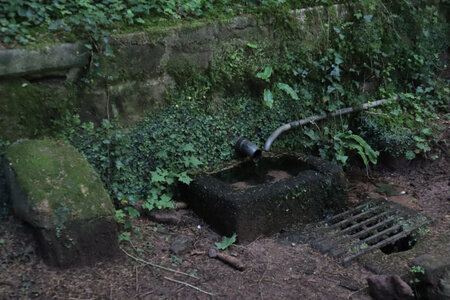 2025 06 24a L'Ormont, IMG_9833 La fontaine Fachot (probablement imbuvable)
