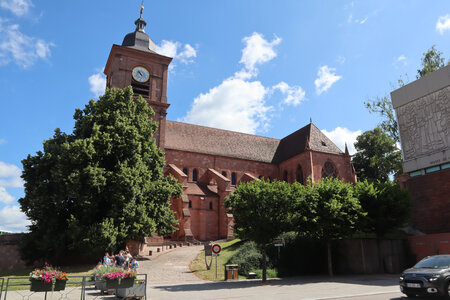 2025 06 24b Saint-Dié-des-Vosges, IMG_9837_z