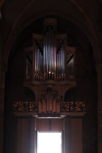 2025 06 24b Saint-Dié-des-Vosges, IMG_9845_z