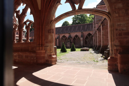 2025 06 24b Saint-Dié-des-Vosges, IMG_9848_z