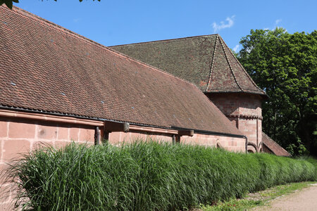 2025 06 24b Saint-Dié-des-Vosges, IMG_9850_z