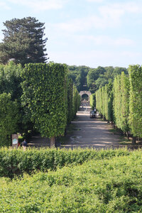 2025 05 07 Vienne, IMG_8964 Le parc du château de Schönbrunn