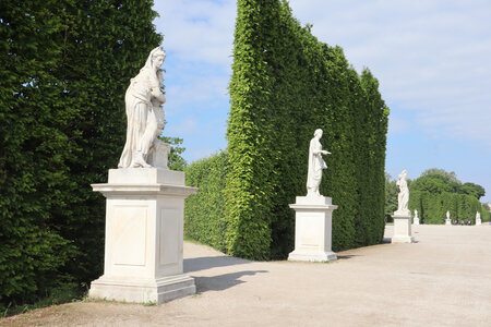 2025 05 07 Vienne, IMG_8965 Le parc du château de Schönbrunn