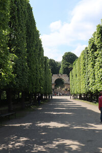2025 05 07 Vienne, IMG_8999 Le parc du château de Schönbrunn